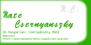 mate csernyanszky business card