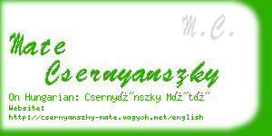 mate csernyanszky business card